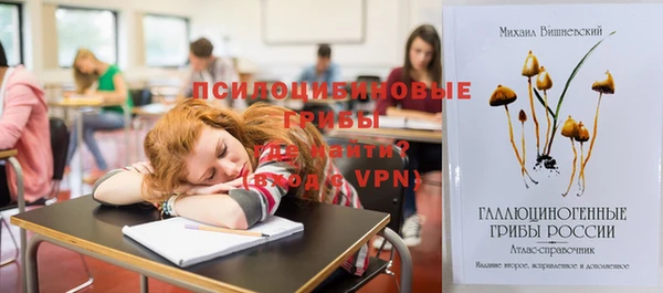 spice Новозыбков