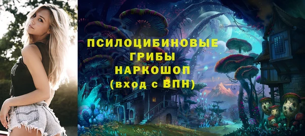 бошки Арсеньев