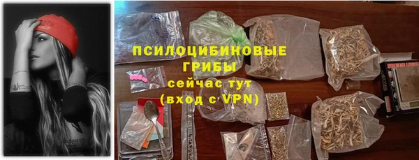 бошки Арсеньев