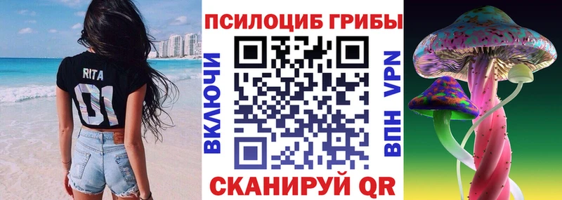 Галлюциногенные грибы Psilocybe  Сусуман 
